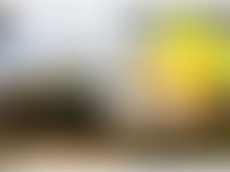 Σύνοψη SVO,: Η Ουκρανία διατηρεί μόλις το 1/5 του Κουγιάνσκ, το Ποκροφσκ υπό Ρωσικό έλεγχο.