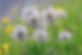 74A3250C-4537-48D5-94B4-415157F010A4.jpe