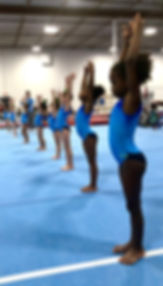 pre team gymnastics