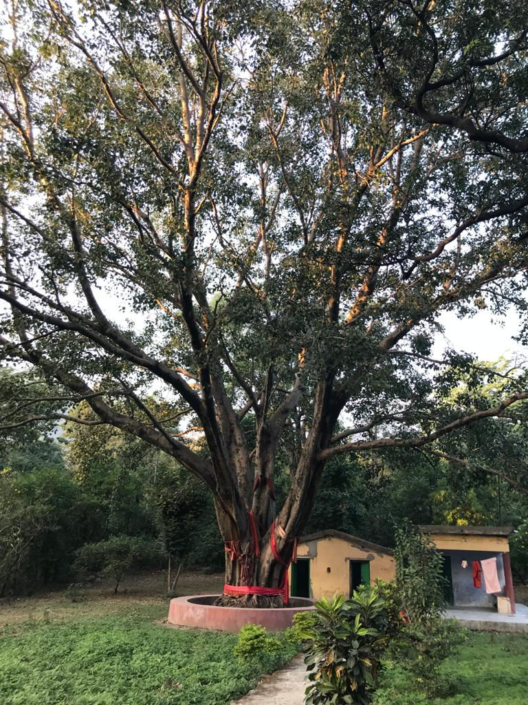 Somewhere in India