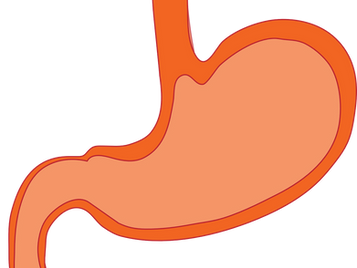 Easing the Burn: How Chiropractic Can Help Manage Acid Reflux