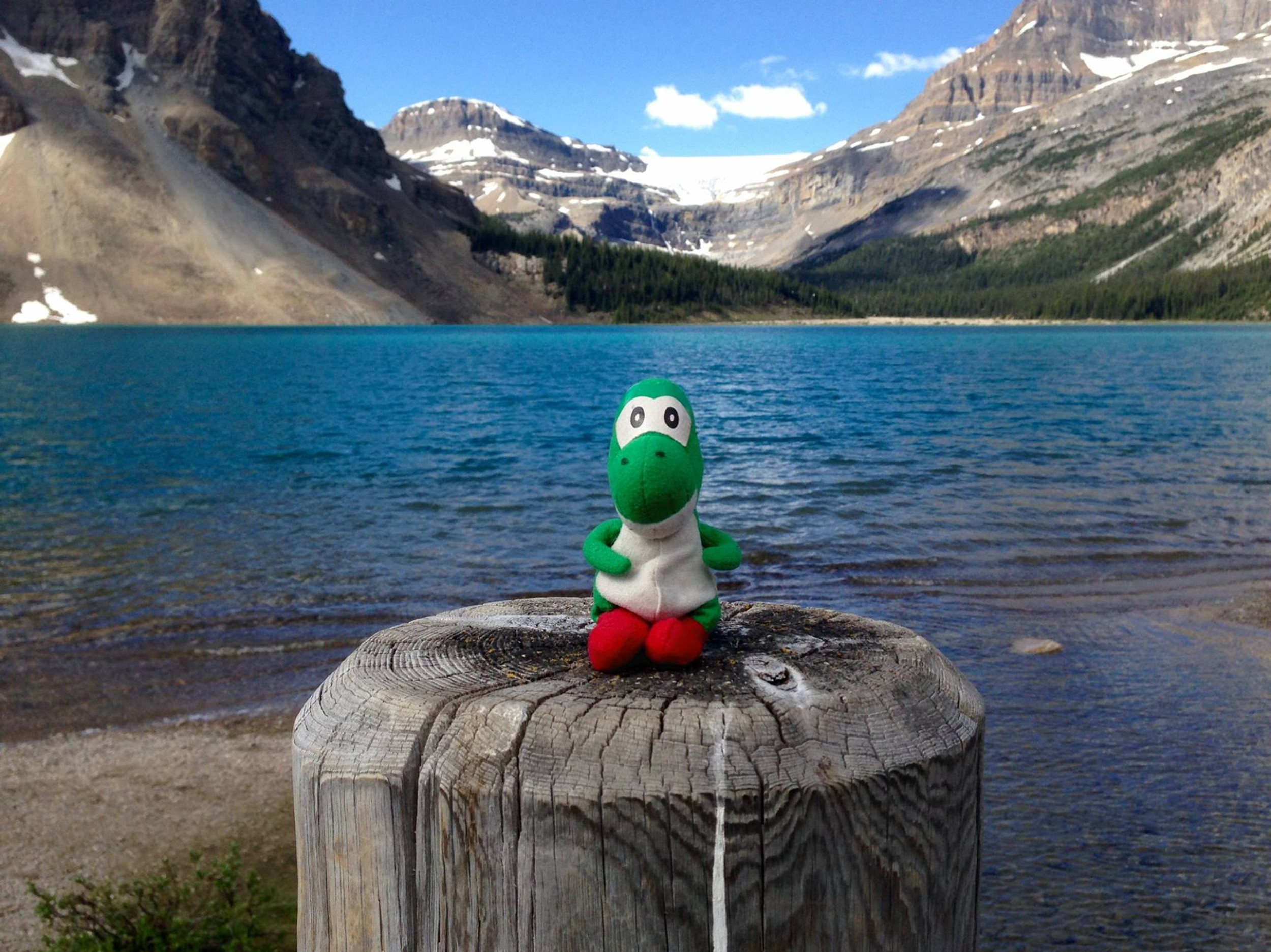 yoshiページです。 b149ab_3d0a330a17df4f3a8dddf04