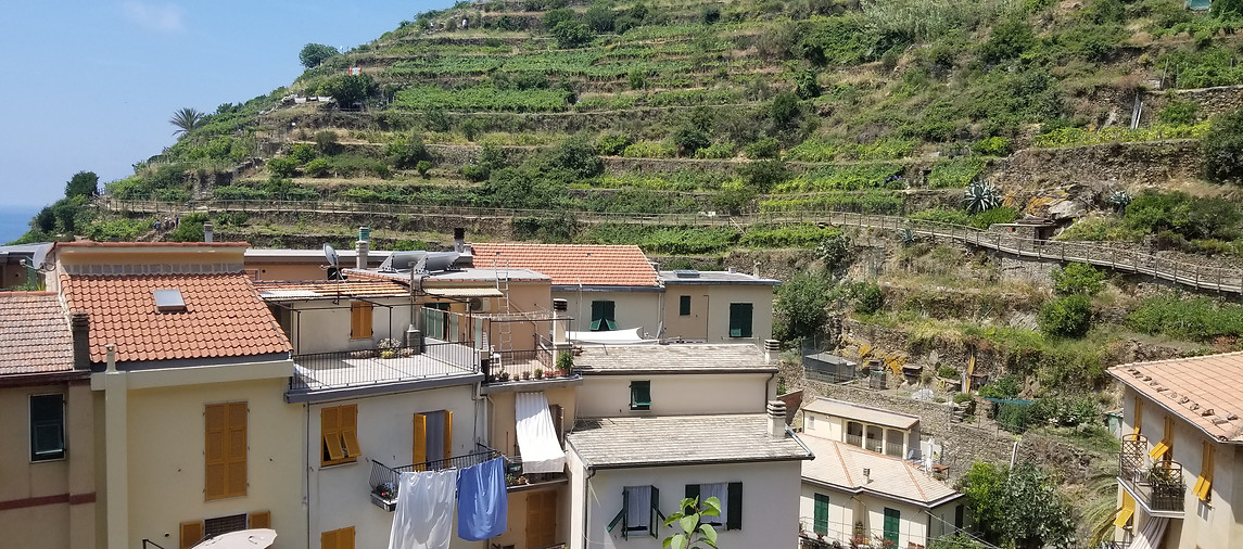 20180708_123958.jpg