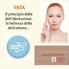 Vata AyurvAcademy.jpeg