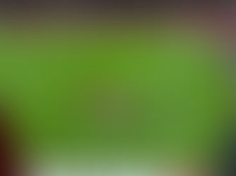 SON OF SOBS: EVERTON