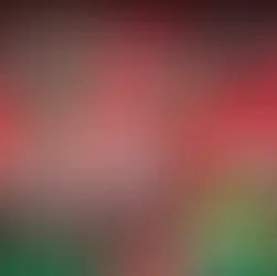 OTD: CHRIS MAGUIRE BORN