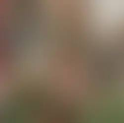 OTD: ANTON ROGAN BORN