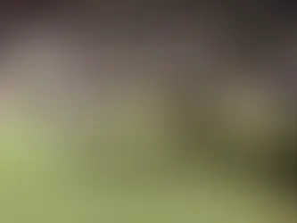 OTD: NEWCASTLE 1-2 SAFC 2000