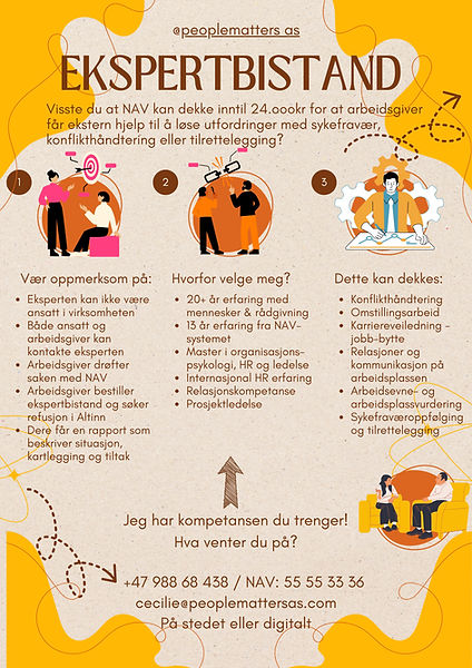Ekspertbistand flyer7