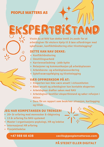 Ekspertbistand flyer11