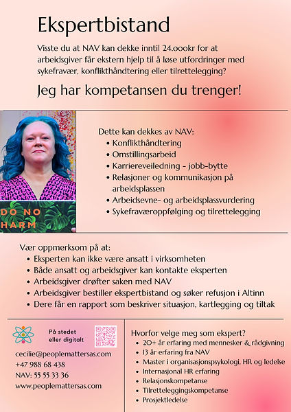 Ekspertbistand flyer8