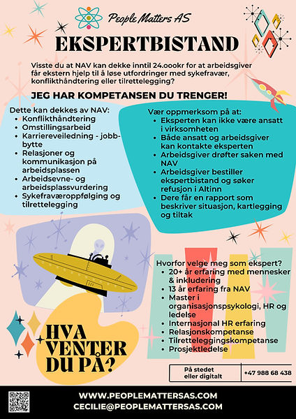 Ekspertbistand flyer10