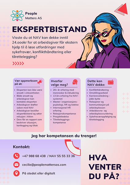 Ekspertbistand flyer4