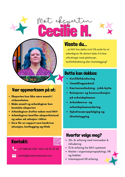 Ekspertbistand flyer2