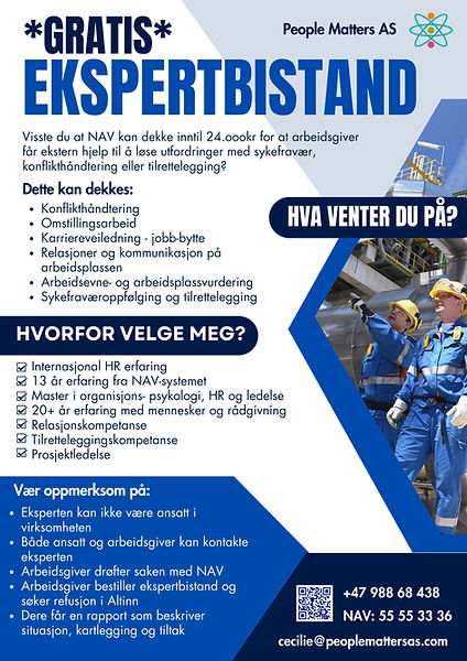 Ekspertbistand flyer5