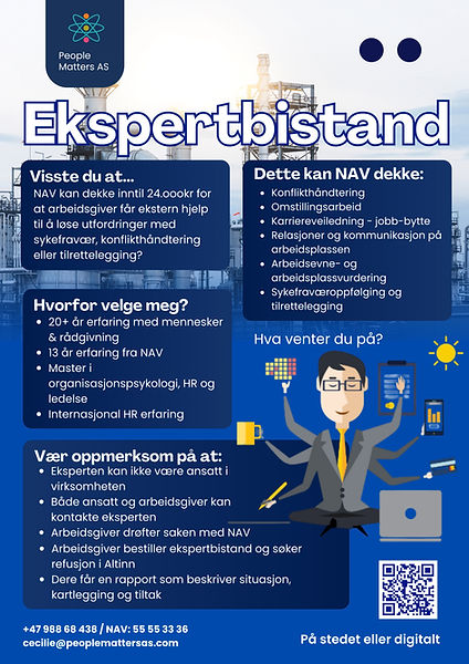 Ekspertbistand flyer6