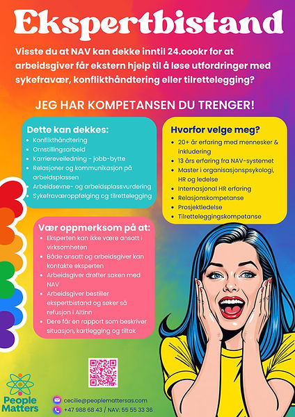Ekspertbistand flyer3