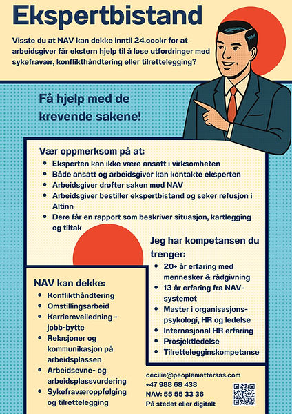 Ekspertbistand flyer12