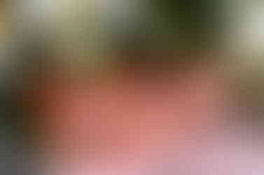 Photo by Kaity Brawley Photography