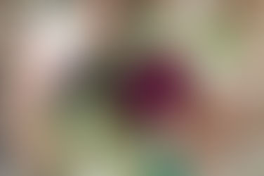 Jewel tone: Otoño-Invierno 2017