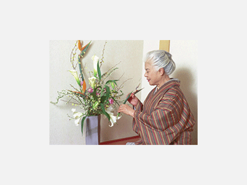 生け花をする和装女性