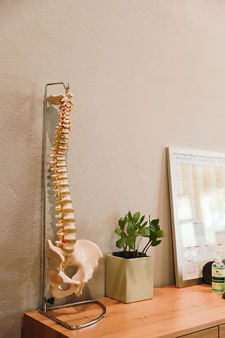 Nest_Chiro-32.jpg