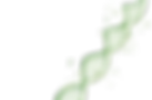 Frame 67.png