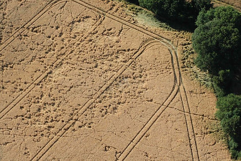 degats_de_gibiers_vue_du_ciel Api-Co.jpg