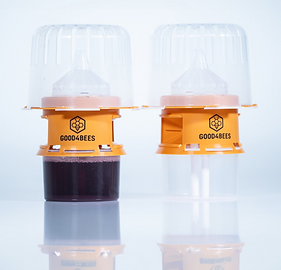 Capture d’écran 2025-04-25 à 07.55.35.png