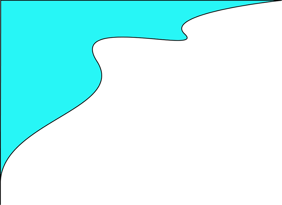 Vector 57.png