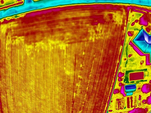 thermographie-aerienne-terrain-agricole Api-co.jpg