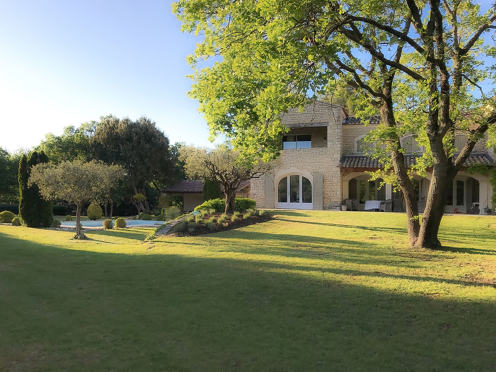 garden-01