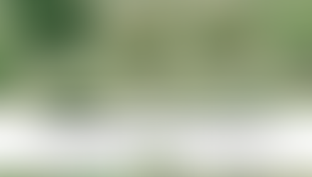 “Sustainability” Sticks, “ESG” Slips…How Report Naming is Evolving