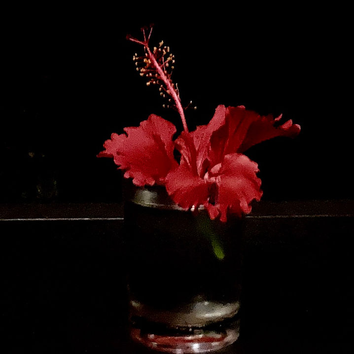 Être fleur, Photo de Réjane d'Espirac, autrice et réalisatrice