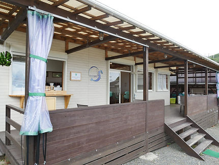 GREEN TURTLE CAFE(グリーンタートルカフェ) | 奄美大島 笠利町の地元のフルーツを使用したシェイクとコーヒーのお店