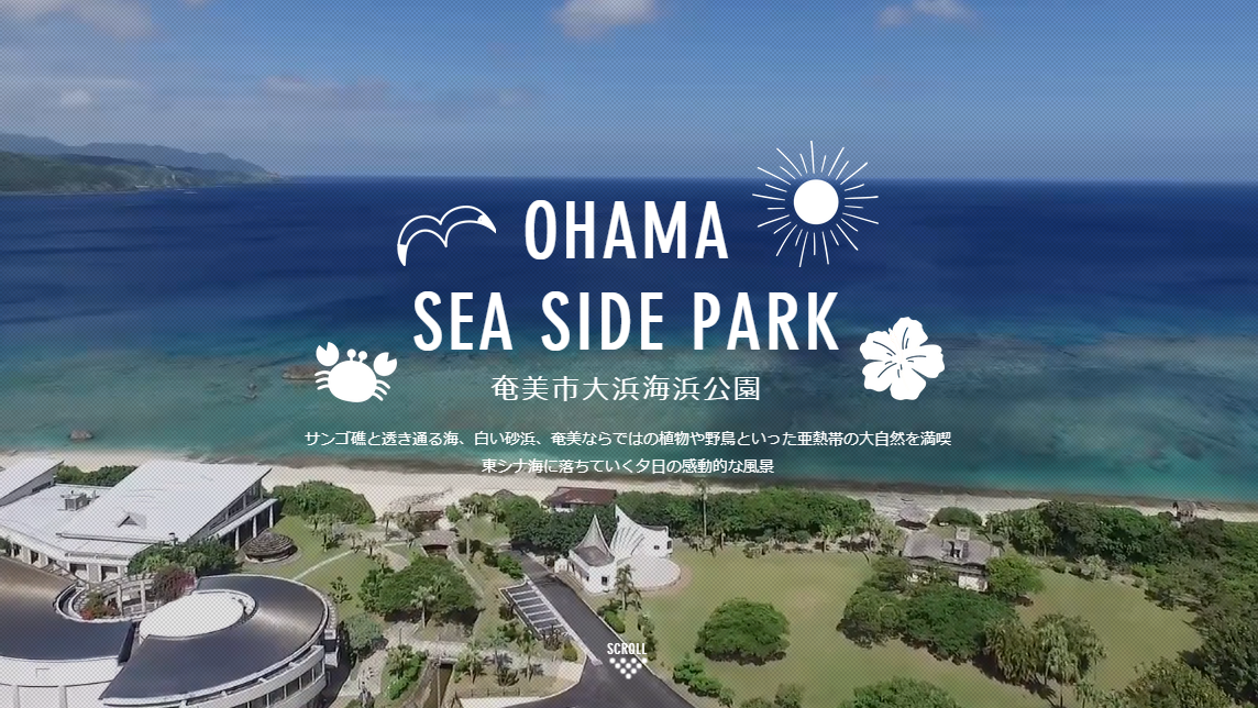奄美市大浜海浜公園 ohama sea side park 公式サイト