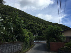 自然あふれる住用の町