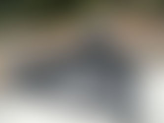 洋型永田家藤田家