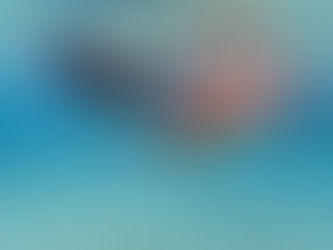 シュノーケリング器材の正しい使い方