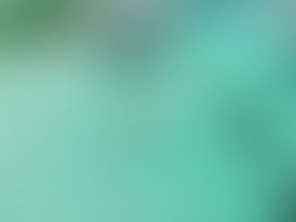 WEBサイトオープン