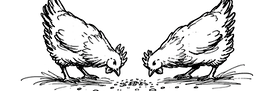 ChatGPT Image 2026年30/30日 11_26_32.png