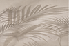 immagine_1_dimensione_reale.png