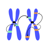 Untitled_Artwork_edited.png
