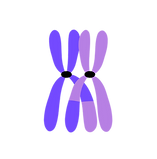 Untitled_Artwork 3_edited.png