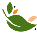 Group 62.png