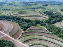 O espaço pode mapear como e por onde as pragas agrícolas se espalham