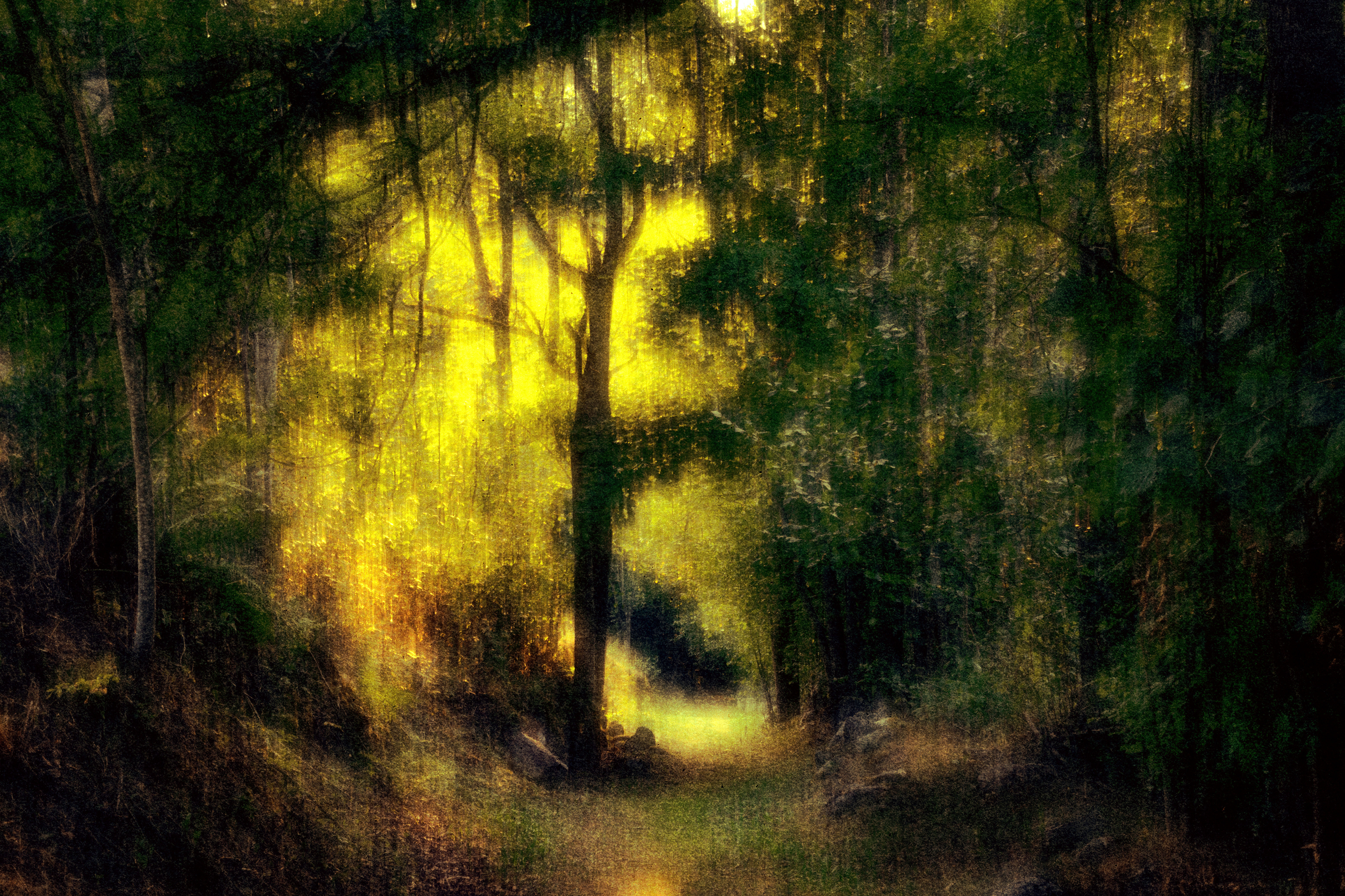 REMINISCENCE N°1
