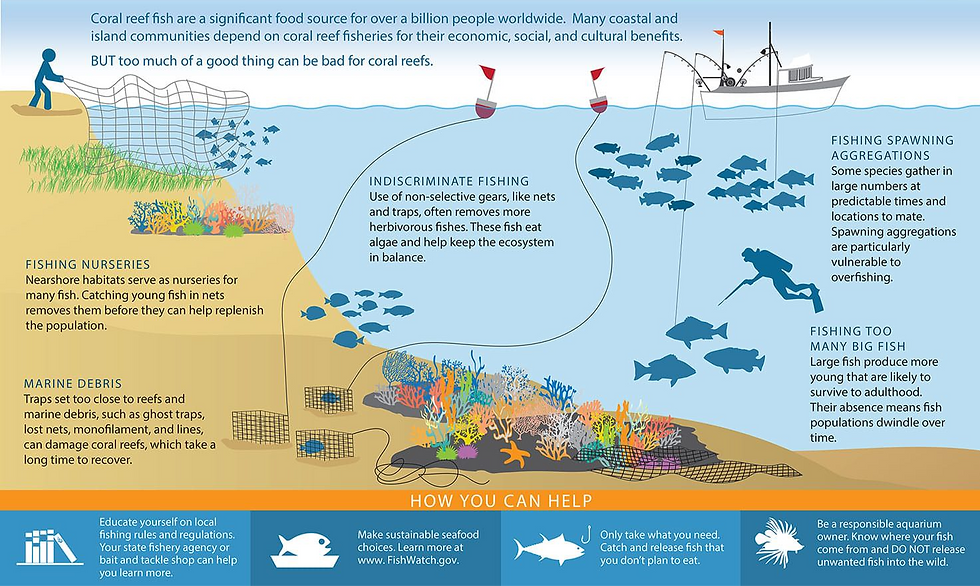 Threats to Coral Reefs due to Overfishing - NOAA