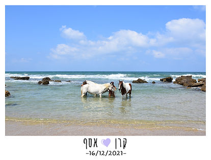 מסגרת מגנט חתונה צלמת מגנטים