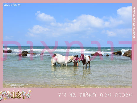 מסגרת מגנט בת מצוה צלמת מגנטים